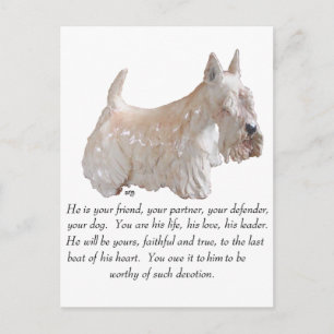 Wheaten Scottish Terrier - MALE Dog Briefkaart