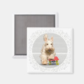 Wheaten Scottish Terrier Skateboard Magneet (Voorkant / Achterkant)