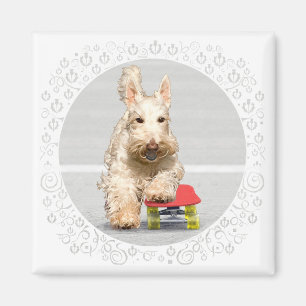 Wheaten Scottish Terrier Skateboard Magneet