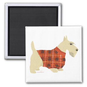 Wheaten Scottish Terrier Sweater Magneet