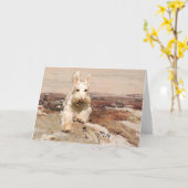 Wheaten Scottish Terrier Wenskaart Kaart (Gele Bloem)