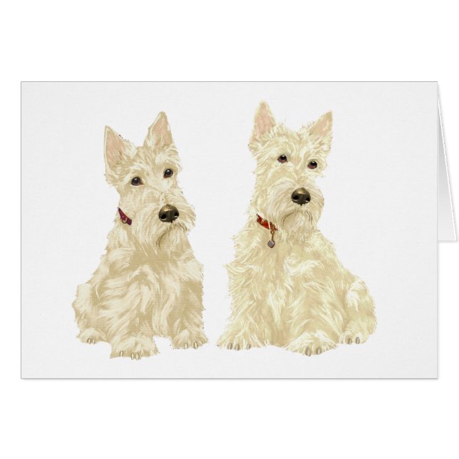 Wheaten Scottish Terriers (Voorkant Horizontaal)
