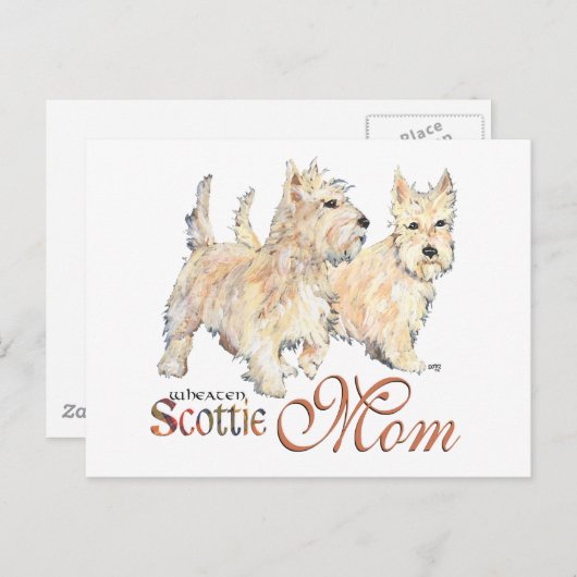 Wheaten Scottish Terriers for Moederdag Briefkaart (Voorkant / Achterkant)