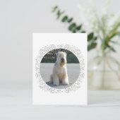 Wheaten Terriër Briefkaart (Staand voorkant)