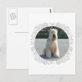 Wheaten Terriër Briefkaart (Voorkant / Achterkant)