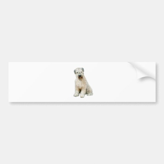 Wheaten Terrier (C) Bumpersticker (Voorkant)