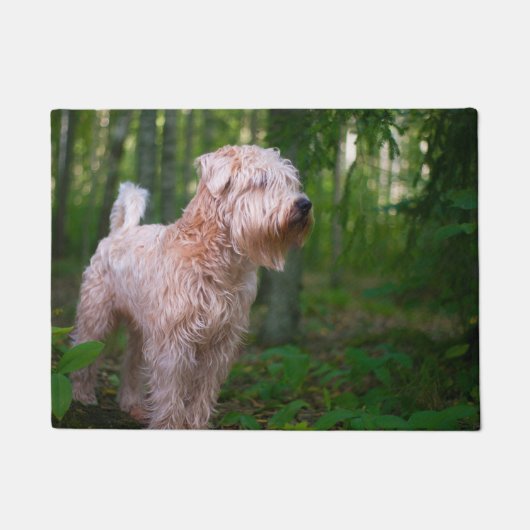 Wheaten Terriër. Deurmat (Voorkant)