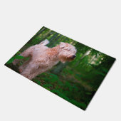 Wheaten Terriër. Deurmat (Schuin)