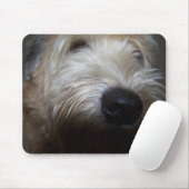 Wheaten Terrier Dog Face Muismat (Met muis)