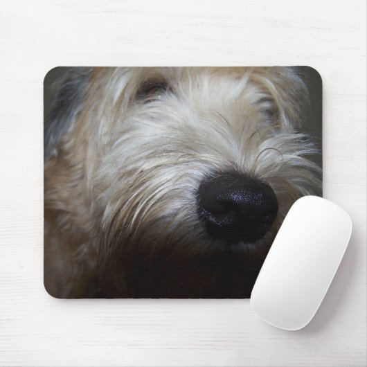 Wheaten Terrier Dog Face Muismat (Met muis)