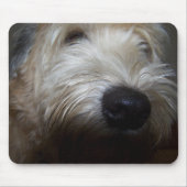 Wheaten Terrier Dog Face Muismat (Voorkant)