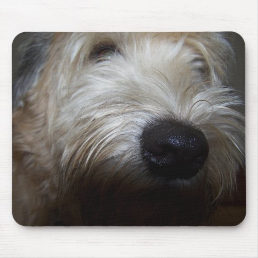 Wheaten Terrier Dog Face Muismat (Voorkant)