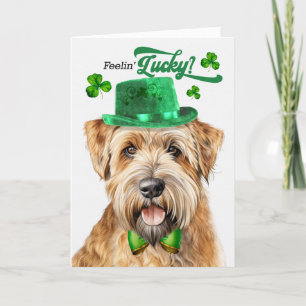 Wheaten Terrier Dog Feelin' Lucky St Patrick's Day Feestdagen Kaart
