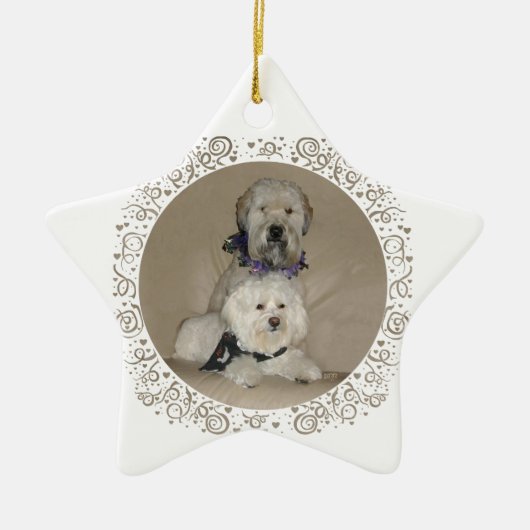 Wheaten Terrier en Havanese Keramisch Ornament (Voorkant)