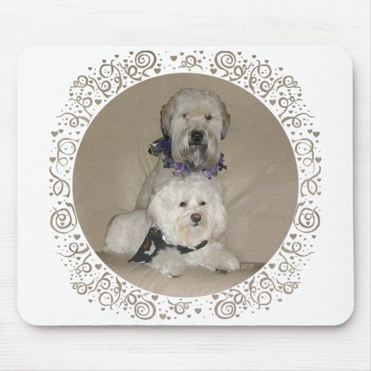 Wheaten Terrier en Havanese Muismat (Voorkant)