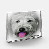 Wheaten Terrier-hond. Fotoblokken (Links)