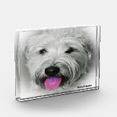 Wheaten Terrier-hond. Fotoblokken (Links)