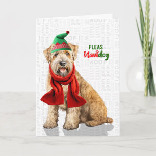 Wheaten Terrier Hond Grappige Vlooien Navidog Kers Feestdagen Kaart