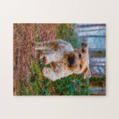 Wheaten Terrier Hond Jigsawpuzzels. Legpuzzel (Horizontaal)