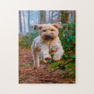 Wheaten Terrier Hond Jigsawpuzzels. Legpuzzel
