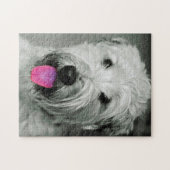 Wheaten Terrier hond Jigsawpuzzels. Legpuzzel (Horizontaal)