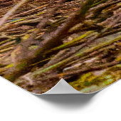 Wheaten Terrier hond. Poster (Hoek)