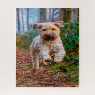 Wheaten Terrier Hond Puzzels. Legpuzzel
