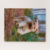 Wheaten Terrier Hond Puzzels. Legpuzzel (Horizontaal)