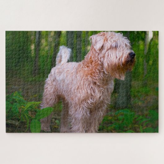 Wheaten Terrier Hond Puzzels. Legpuzzel (Horizontaal)