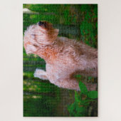 Wheaten Terrier Hond Puzzels. Legpuzzel (Verticaal)
