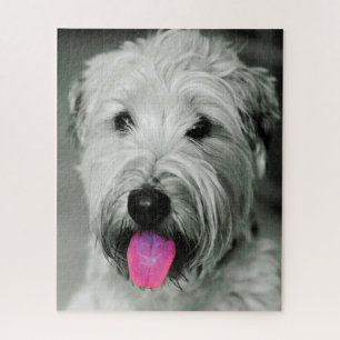 Wheaten Terrier Hond Puzzels. Legpuzzel
