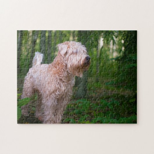 Wheaten Terrier Hond Puzzels. Legpuzzel (Horizontaal)