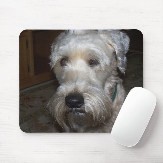 Wheaten Terrier Muismat (Met muis)