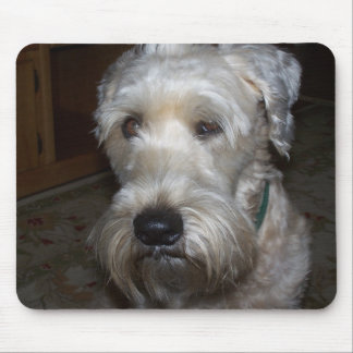 Wheaten Terrier Muismat