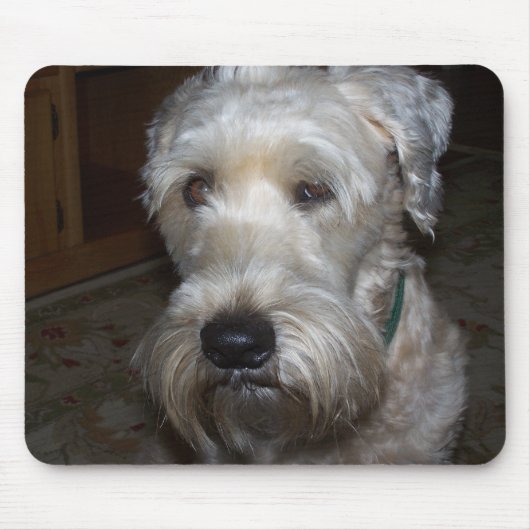 Wheaten Terrier Muismat (Voorkant)