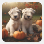 Wheaten Terrier Puppy Herfst Verrukking Pompoen Vierkante Sticker (Voorkant)