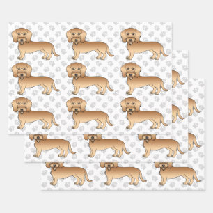 Wheaten Wire Haired Dachshund Cartoon Hond Patroon Inpakpapier Vel