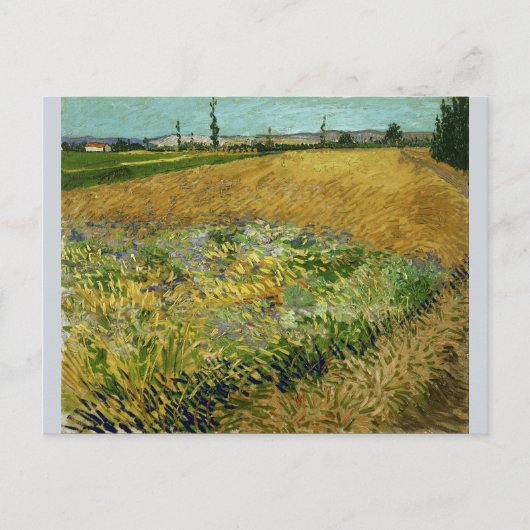 Wheatfield van Vincent Van Gogh Briefkaart (Voorkant)
