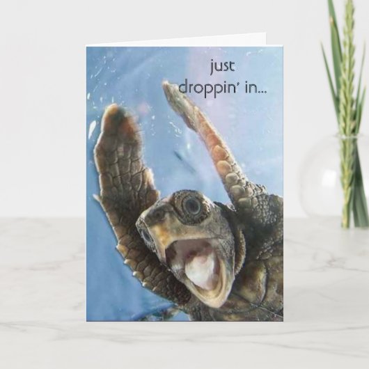wheeeeeeeee schildpad, enkel droppin in… kaart (Voorkant)
