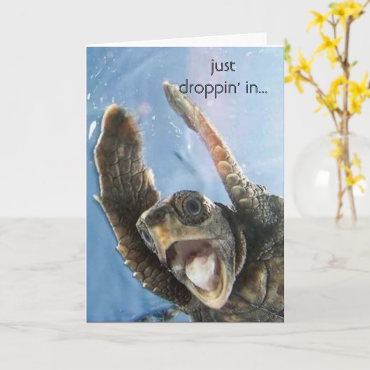 wheeeeeeeee schildpad, enkel droppin in… kaart (Gele Bloem)