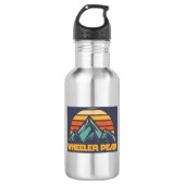 Wheeler Peak New Mexico Retro Turquoise Waterfles (Voorkant)