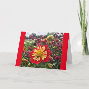Wheels Dahlia Kaart