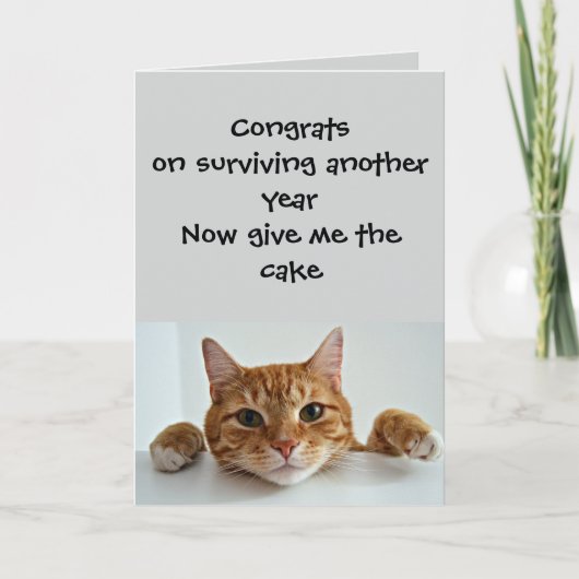 When the Cat Cares.. Just a Little –Funny Birthday Kaart (Voorkant)