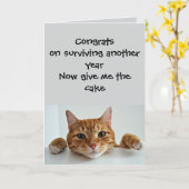 When the Cat Cares.. Just a Little –Funny Birthday Kaart (Gele Bloem)