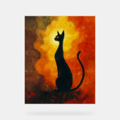 Where curiosity meets the cosmos. acryl bord (Voorkant)