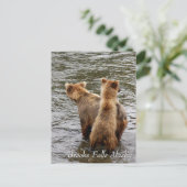 Where do you see mom, Brooks Falls Alaska  Briefkaart (Staand voorkant)