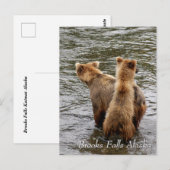 Where do you see mom, Brooks Falls Alaska  Briefkaart (Voorkant / Achterkant)