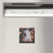 Where Love Lives Magnet (Insitu (Vaatwasser))