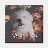 Where Love Lives Magnet (Voorkant)