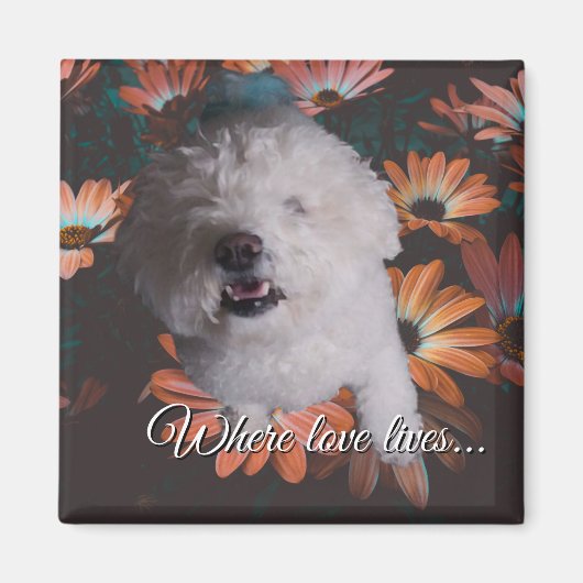 Where Love Lives Magnet (Voorkant)